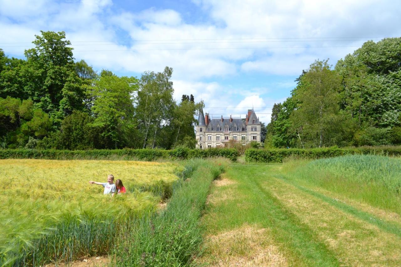 Chateau Le Boisrenault Hotell Buzançais Eksteriør bilde